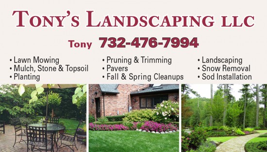 Tony's Landscape Business Card